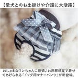 ペット 犬 マナーパンツ サニタリーパンツ リボン gpet6037 | BACKYARD FAMILY | 詳細画像2