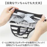 ペット 犬 マナーパンツ サニタリーパンツ リボン gpet6037 | BACKYARD FAMILY | 詳細画像6