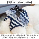 ペット 犬 マナーパンツ サニタリーパンツ リボン gpet6037 | BACKYARD FAMILY | 詳細画像7