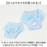 ペット 犬 マナーパンツ サニタリーパンツ リボン gpet6037 | BACKYARD FAMILY | 詳細画像9