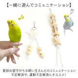 インコ おもちゃ kpet25 | BACKYARD FAMILY | 詳細画像10