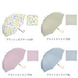 ワールドパーティー W.P.C 長傘 58cm | BACKYARD FAMILY | 詳細画像13 
