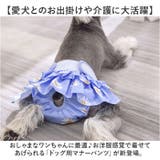 ペット 犬 マナーパンツ サニタリーパンツ かわいい gpet6047 | BACKYARD FAMILY | 詳細画像2