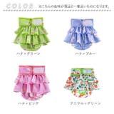 ペット 犬 マナーパンツ サニタリーパンツ かわいい gpet6047 | BACKYARD FAMILY | 詳細画像15