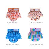 ペット 犬 マナーパンツ サニタリーパンツ かわいい gpet6047 | BACKYARD FAMILY | 詳細画像16