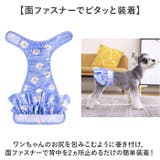 ペット 犬 マナーパンツ サニタリーパンツ かわいい gpet6047 | BACKYARD FAMILY | 詳細画像6