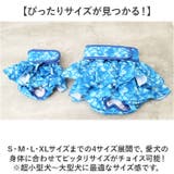 ペット 犬 マナーパンツ サニタリーパンツ かわいい gpet6047 | BACKYARD FAMILY | 詳細画像10