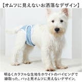 ペット 犬 マナーパンツ サニタリーパンツ 無地 おしゃれ | BACKYARD FAMILY | 詳細画像5 