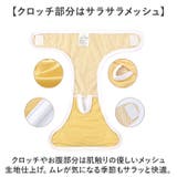 ペット 犬 マナーパンツ サニタリーパンツ 無地 おしゃれ | BACKYARD FAMILY | 詳細画像6 