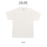 Hanes ヘインズ 5250T | BACKYARD FAMILY | 詳細画像10