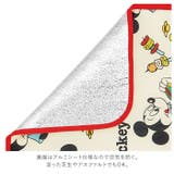 ソフトレジャーシートM SVS15 | BACKYARD FAMILY | 詳細画像6