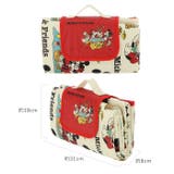 ソフトレジャーシートM SVS15 | BACKYARD FAMILY | 詳細画像8