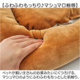 マシュマロ ダイカットベッド | BACKYARD FAMILY | 詳細画像4