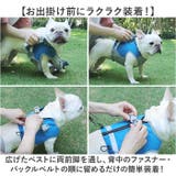 犬 ハーネス クールベスト | BACKYARD FAMILY | 詳細画像5 