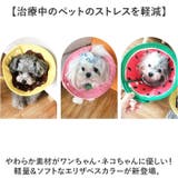 エリザベスカラー 犬用 猫用 ソフト | BACKYARD FAMILY | 詳細画像2 