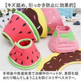 エリザベスカラー 犬用 猫用 ソフト | BACKYARD FAMILY | 詳細画像3 