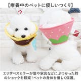 エリザベスカラー 犬用 猫用 ソフト | BACKYARD FAMILY | 詳細画像5 