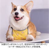コーギー用泥よけエプロン ペットレインウエア 犬用泥除け | BACKYARD FAMILY | 詳細画像2