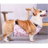 コーギー用泥よけエプロン ペットレインウエア 犬用泥除け | BACKYARD FAMILY | 詳細画像10