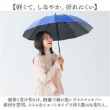 mabu マブ 12本骨 江戸 遮光率100% 晴雨兼用 | BACKYARD FAMILY | 詳細画像5