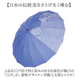 JOTARO SAITO×mabu マブ 16本骨傘 江戸 | BACKYARD FAMILY | 詳細画像3