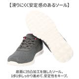 Arnie Arnold Palmer | BACKYARD FAMILY | 詳細画像8