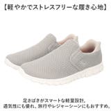 Arnie Arnold Palmer | BACKYARD FAMILY | 詳細画像3