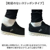 Arnie Arnold Palmer | BACKYARD FAMILY | 詳細画像5