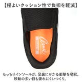 Arnie Arnold Palmer | BACKYARD FAMILY | 詳細画像6