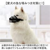 長頭種犬 口輪 マズル | BACKYARD FAMILY | 詳細画像2