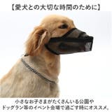 長頭種犬 口輪 マズル | BACKYARD FAMILY | 詳細画像12