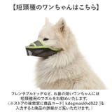 長頭種犬 口輪 マズル | BACKYARD FAMILY | 詳細画像13