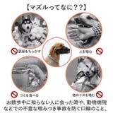 長頭種犬 口輪 マズル | BACKYARD FAMILY | 詳細画像3