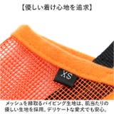 長頭種犬 口輪 マズル | BACKYARD FAMILY | 詳細画像6