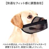 長頭種犬 口輪 マズル | BACKYARD FAMILY | 詳細画像8