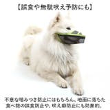 長頭種犬 口輪 マズル | BACKYARD FAMILY | 詳細画像10