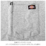 Dickies ディッキーズ WL450 | BACKYARD FAMILY | 詳細画像3