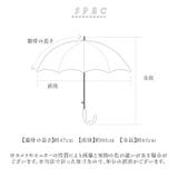 because ビコーズ 晴雨兼用長傘 | BACKYARD FAMILY | 詳細画像15 