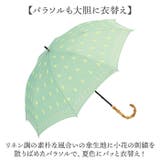 because ビコーズ 晴雨兼用長傘 | BACKYARD FAMILY | 詳細画像4 