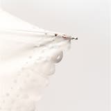 because ビコーズ PUコーティング 晴雨兼用 折りたたみ傘 | BACKYARD FAMILY | 詳細画像12