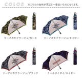 50cm 子ども折りたたみ傘 カラビナ手元 透明窓1面 | BACKYARD FAMILY | 詳細画像19 