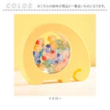 乳歯ケース | BACKYARD FAMILY | 詳細画像10