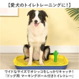 ペット 犬 マーキングポール トイレ しつけ | BACKYARD FAMILY | 詳細画像2 