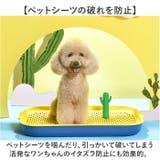 ペット 犬 マーキングポール トイレ しつけ | BACKYARD FAMILY | 詳細画像6 