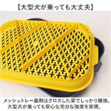 ペット 犬 マーキングポール トイレ しつけ | BACKYARD FAMILY | 詳細画像9 