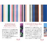 レトワール デュ ソレイユ A253 ストラップ付パスケース | BACKYARD FAMILY | 詳細画像6