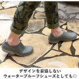 ccilu AMAZON PHOENIX & PHOEBE | BACKYARD FAMILY | 詳細画像4