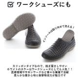 ccilu AMAZON PHOENIX & PHOEBE | BACKYARD FAMILY | 詳細画像9