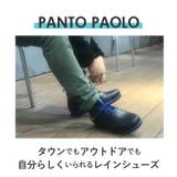 ccilu PANTO PAOLO & CDOT | BACKYARD FAMILY | 詳細画像3