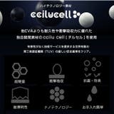 ccilu PANTO PAOLO & CDOT | BACKYARD FAMILY | 詳細画像5